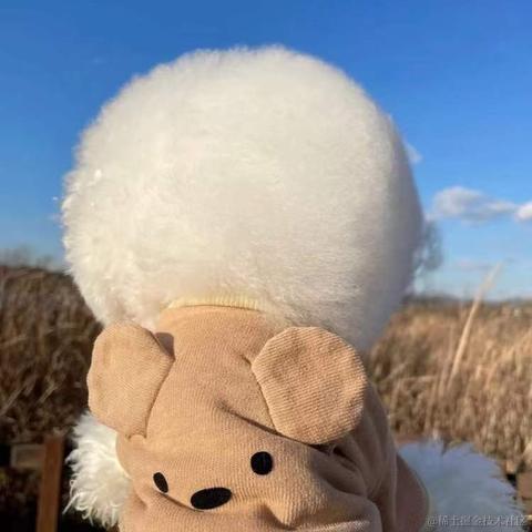 BooBoo于2021-12-24 10:20发布的图片