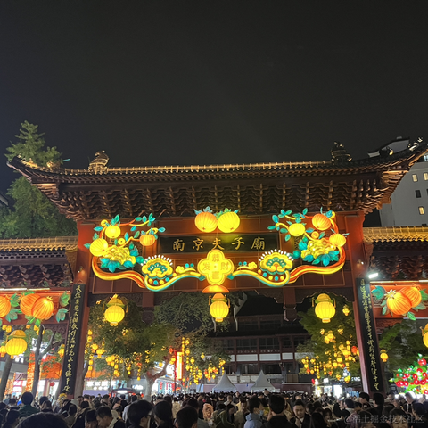 苏州第一深情于2024-04-08 09:03发布的图片