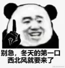 image-20231013101350431.png
