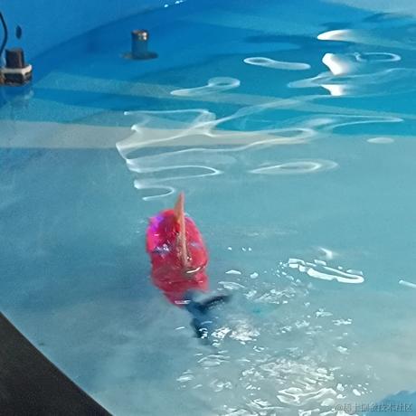 橘子格格巫于2022-11-27 19:29发布的图片