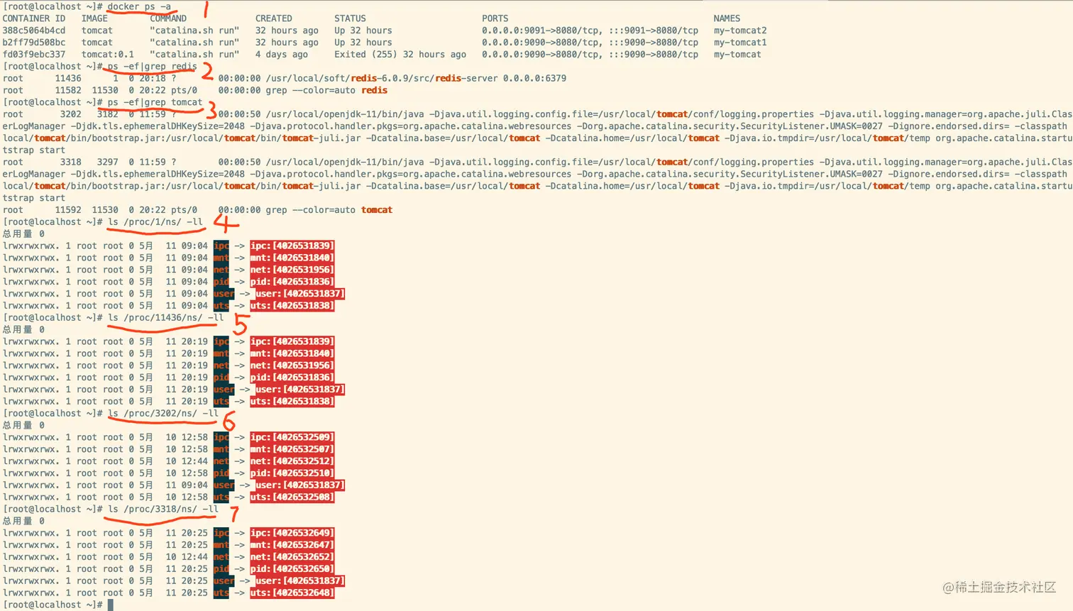 Docker -- Namespace、Cgroups实战-1.png