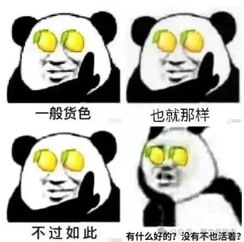 不过如此