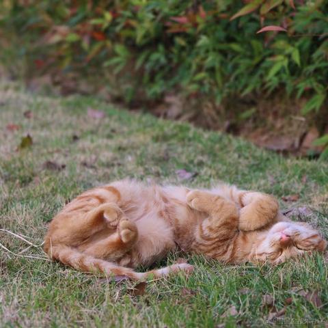 Coca_Cola于2022-12-02 20:30发布的图片