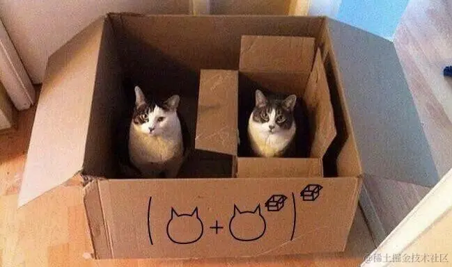 cat_box_composition.jpeg