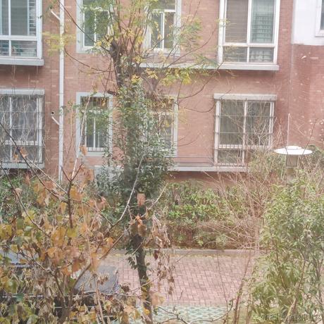 琦玉的杰诺斯于2022-11-29 15:00发布的图片