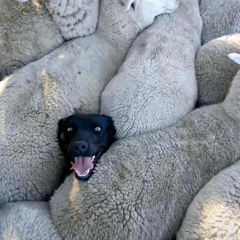 共饮一杯无于2022-12-20 10:05发布的图片