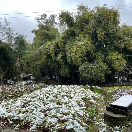 Java星辰于2023-01-19 12:34发布的图片