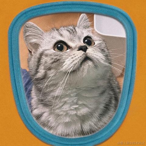 抖音开放平台于2021-10-28 14:21发布的图片