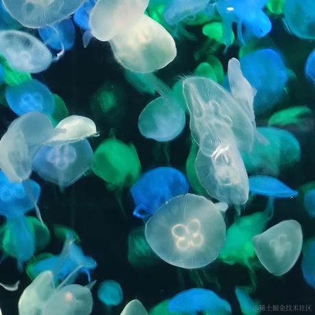 ndksorlcpsjwox于2023-07-06 22:40发布的图片