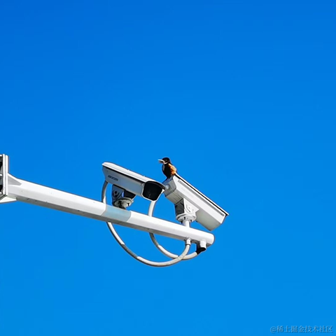 内推找我于2023-01-19 10:15发布的图片