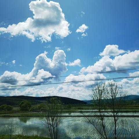 书包肚肚于2023-06-30 19:50发布的图片