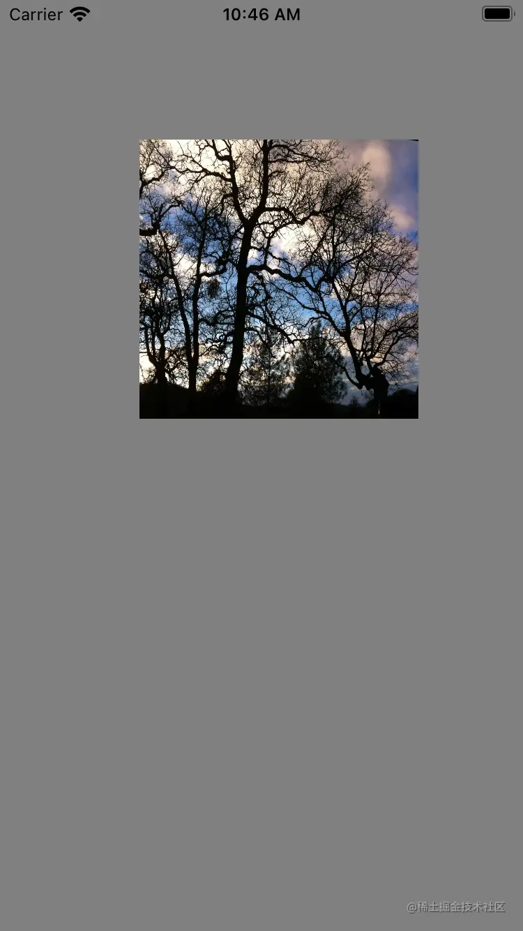 Simulator Screen Shot - iPhone 8 - 2021-05-29 at 10.46.12.png