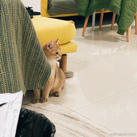 小蝴蝶于2021-12-23 15:50发布的图片