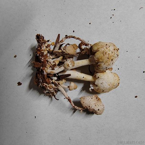 Uwiling于2022-12-01 21:16发布的图片