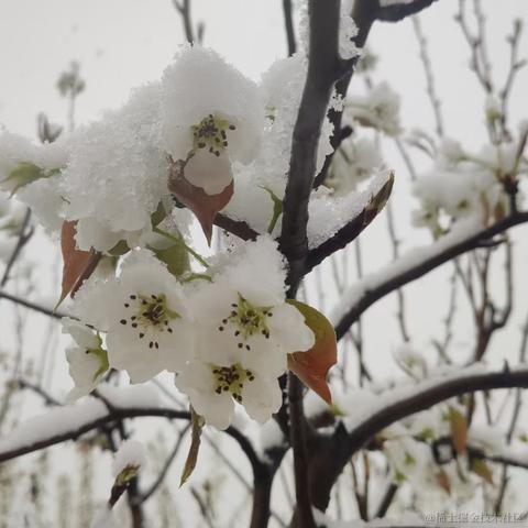 道友请留步_于2023-03-16 15:36发布的图片