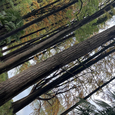 锅里有小琳于2022-11-22 08:59发布的图片