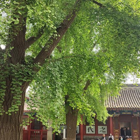 bysking于2023-05-05 13:36发布的图片