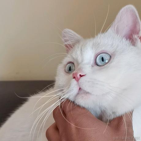 没什么大不了sg于2021-03-09 19:41发布的图片