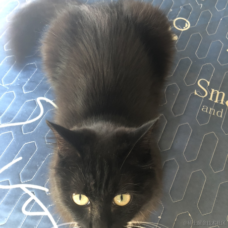 AilsaGao于2022-11-16 10:54发布的图片