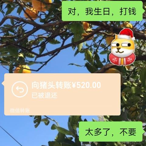 朱丽娜于2022-01-11 10:23发布的图片