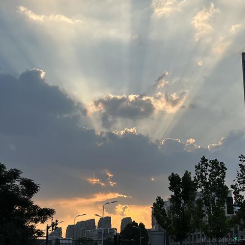 阿刁_于2023-08-24 08:32发布的图片