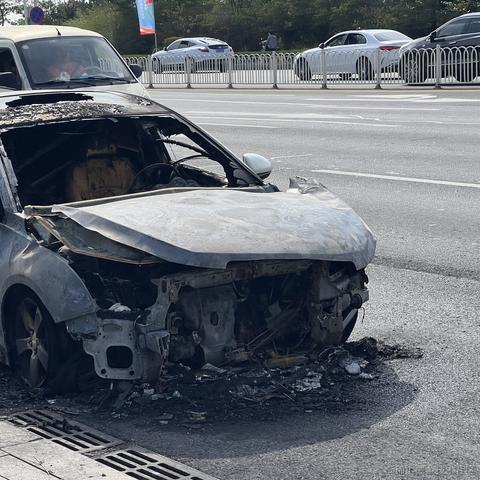 岛城咸鱼于2024-06-21 09:16发布的图片