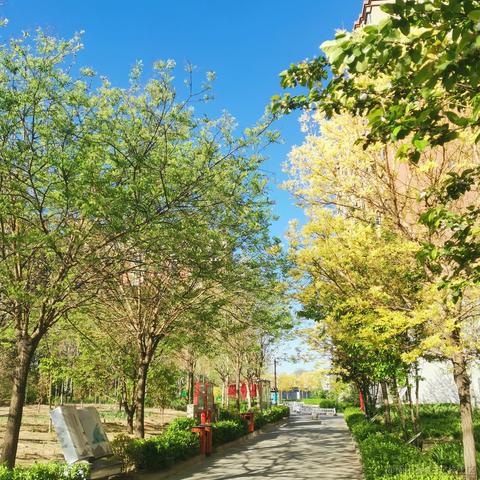 IT前端小马哥于2021-04-30 09:40发布的图片