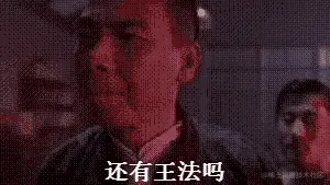 还有王法吗.gif