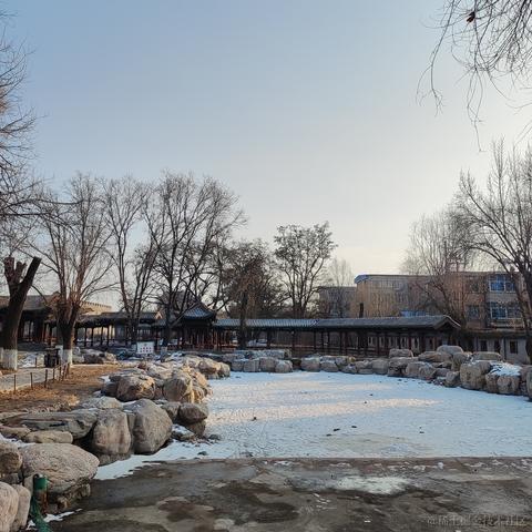 优秀稳妥的金枪小魔王于2023-01-23 12:59发布的图片