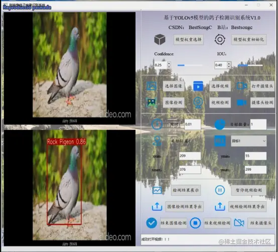 高精度鸽子检测识别系统447.png