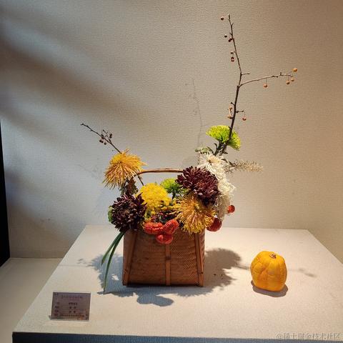 优秀稳妥的金枪小魔王于2023-11-28 11:00发布的图片