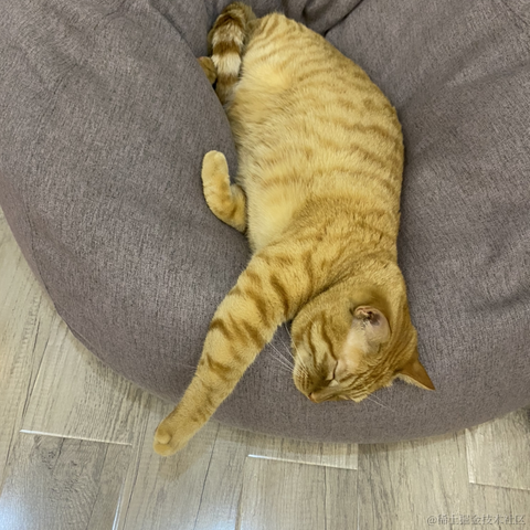 avavaava于2022-11-15 01:52发布的图片