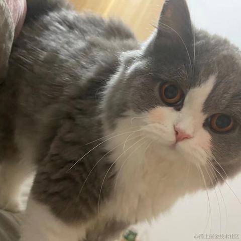 Care_在乎于2021-11-01 11:10发布的图片