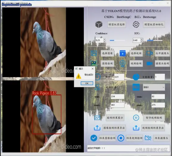 高精度鸽子检测识别系统2675.png