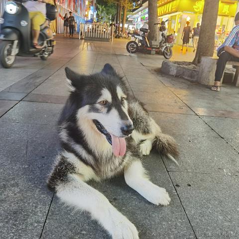 飞鸟与林于2021-09-06 18:54发布的图片
