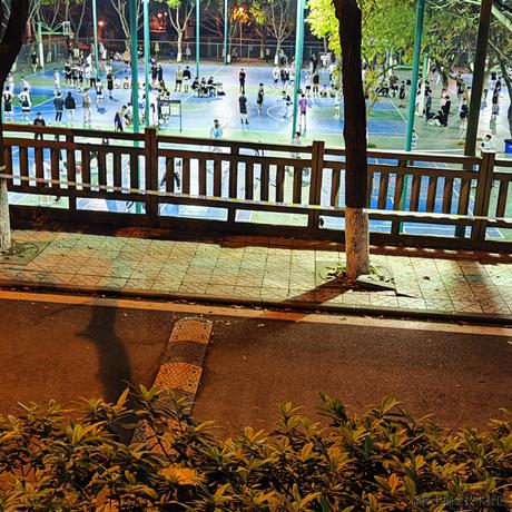 不飞则已一飞于2023-04-25 19:46发布的图片