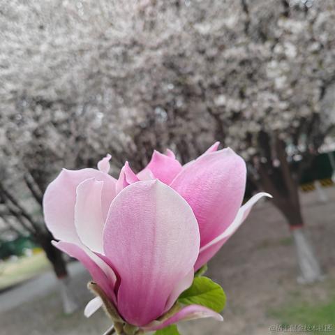 从0开始的go世界于2023-04-16 21:36发布的图片