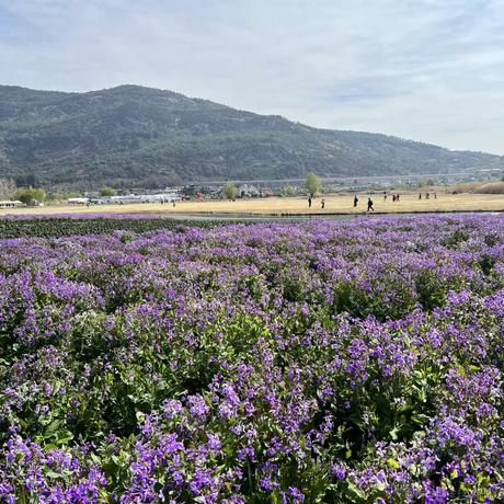 小小靓仔于2023-03-19 19:41发布的图片