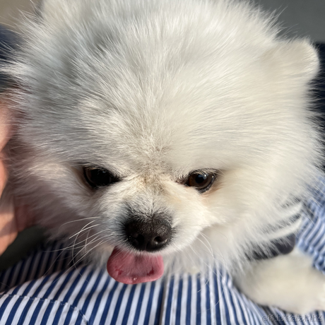 JAVA旭阳于2023-06-01 08:44发布的图片