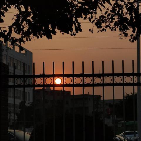 太阳y于2023-05-02 21:03发布的图片