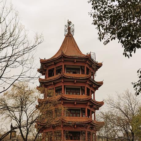 得要找到一束光于2023-01-25 18:07发布的图片