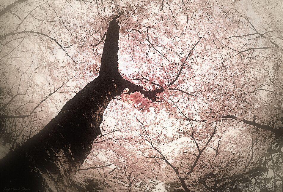 C++算法题基础语法