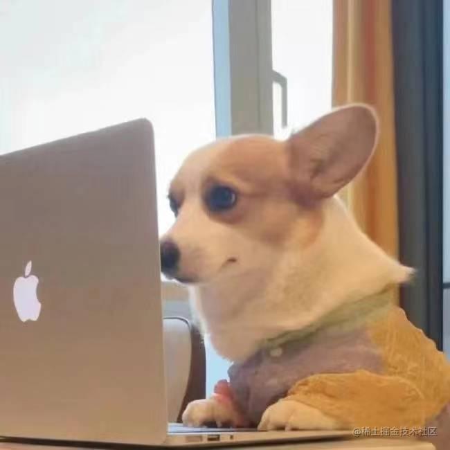 前端小白的学习进度