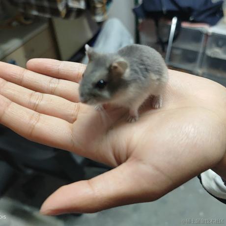 没得吃于2022-12-04 23:08发布的图片