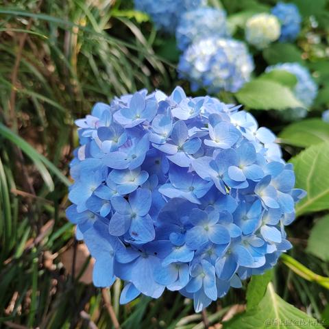 Sarah_于2024-05-17 10:12发布的图片