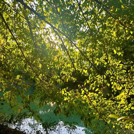 偶啊哈克于2022-12-07 09:18发布的图片