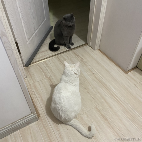 钮钴禄仙贝于2022-12-13 22:14发布的图片