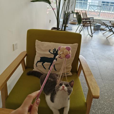 心愛今天吃什么于2023-07-08 13:12发布的图片
