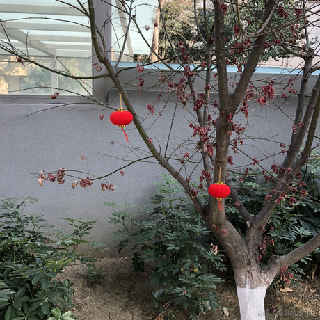 魔法小姬菇于2023-01-19 15:48发布的图片