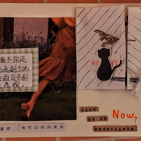 已注销于2021-11-16 21:03发布的图片